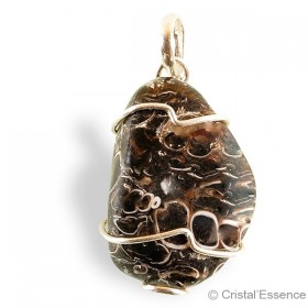 Pendentif Agate à fossiles roulée, montage argent