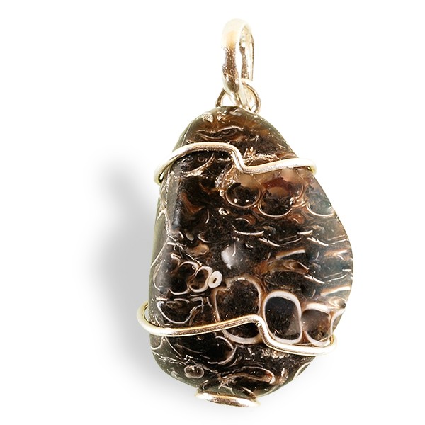 Pendentif Agate à fossiles roulée, montage argent