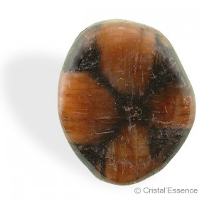 Chiastolite, roulée