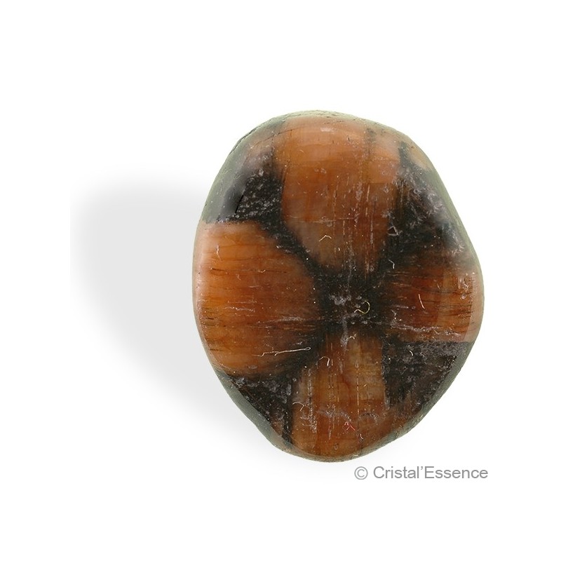 Chiastolite, roulée