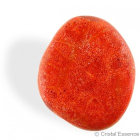Corail rouge, galet plat