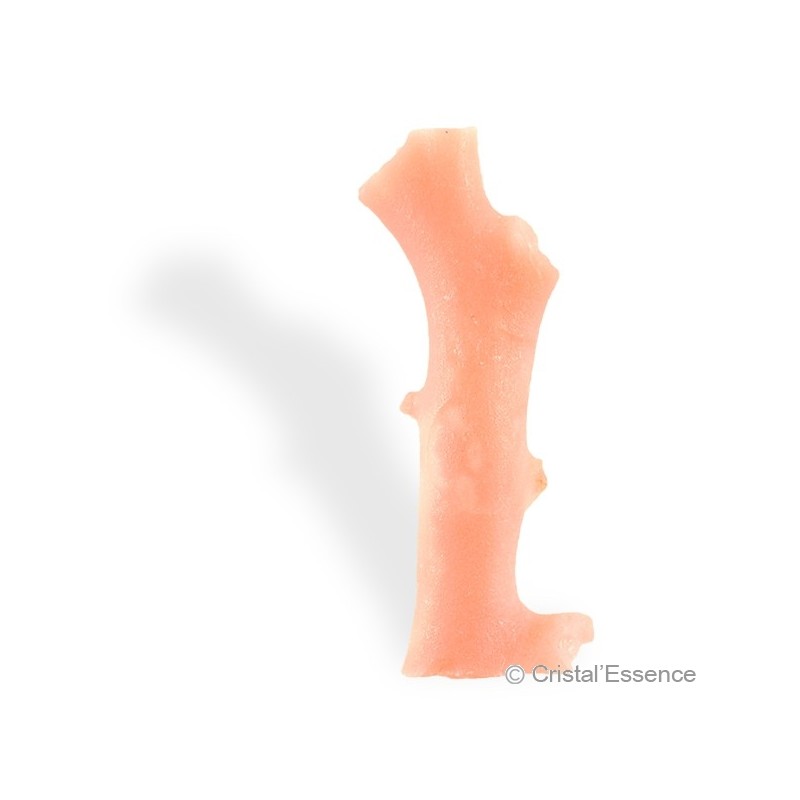 Corail rose, branche