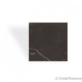 Shungite, pastille carrée pour smartphone