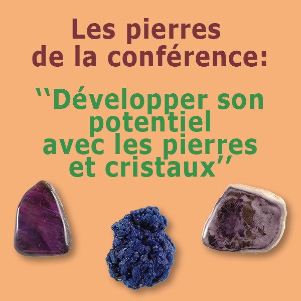 Developper son potentiel avec les pierres et cristaux PDF