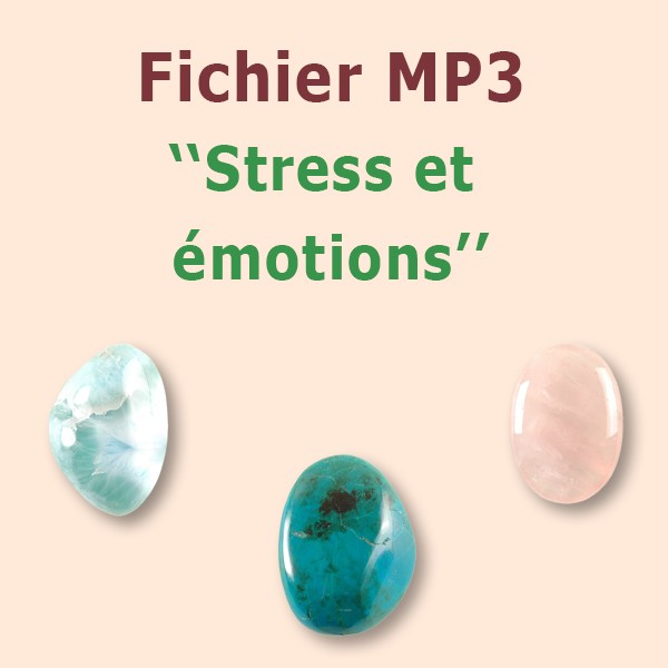 Stress et émotion