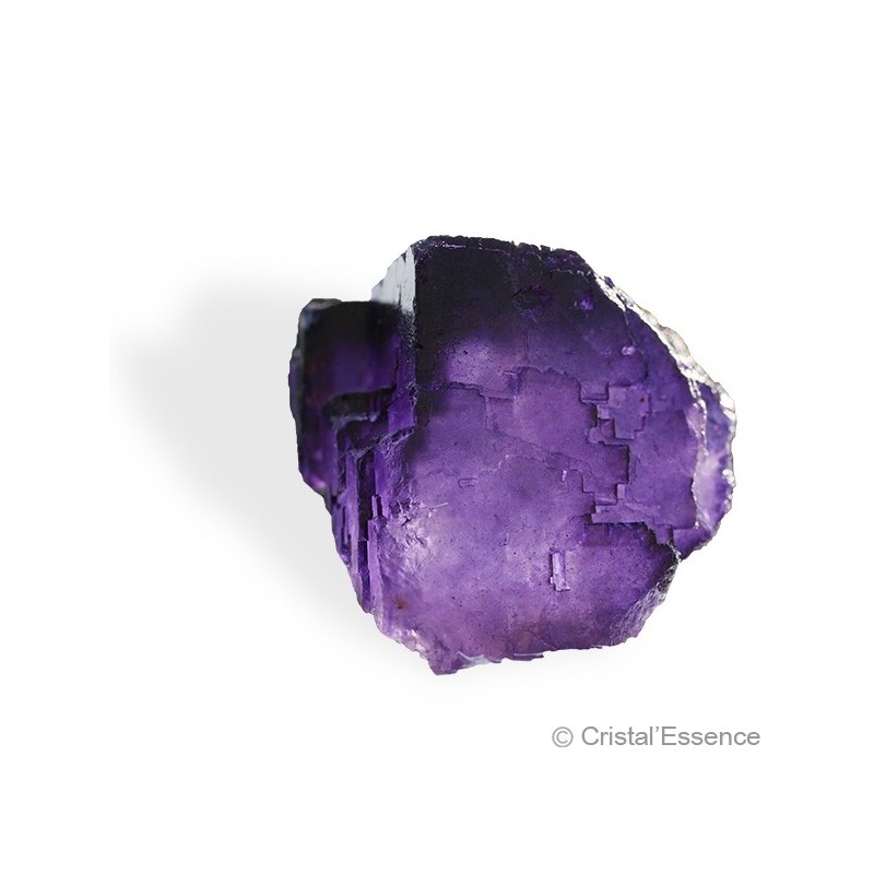 Fluorite violette, cristaux cubes