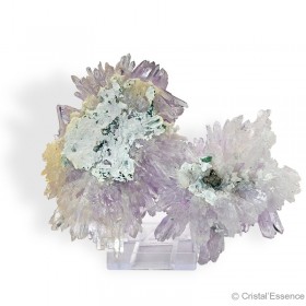 Améthyste Fleur, grande, 188 g