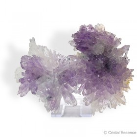 Améthyste Fleur, grande, 188 g