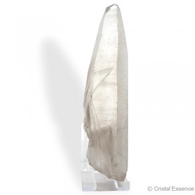 Cristal de roche Lémurien, grand cristal 240 g