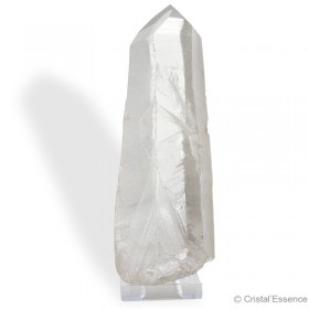Cristal de roche Lémurien, grand cristal 446 g, un puissant catalyseur et diffuseur d'énergie