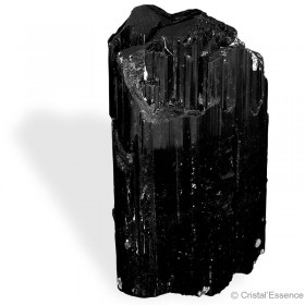Tourmaline noire de Madagascar, générateur 321 g