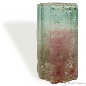 Pierre Tourmaline melon d'eau, cristal, pour la relation d'aide