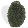 Moldavite spécimen très rare