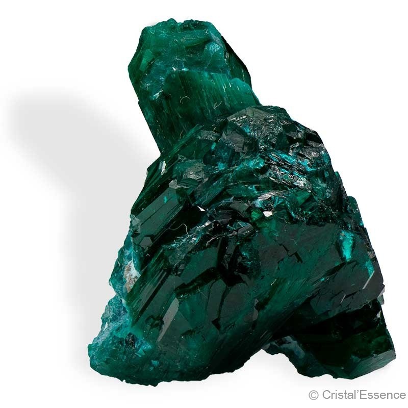 Dioptase, cristaux, 10,4 g