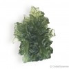 Moldavite de Besednice, 6,37 g, rare ! spécimen brut