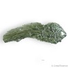 La Moldavite