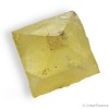 La forme cristallisée de cette Fluorite jaune est naturelle