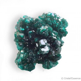Dioptase amas cristaux
