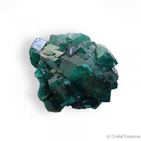 Dioptase amas cristaux