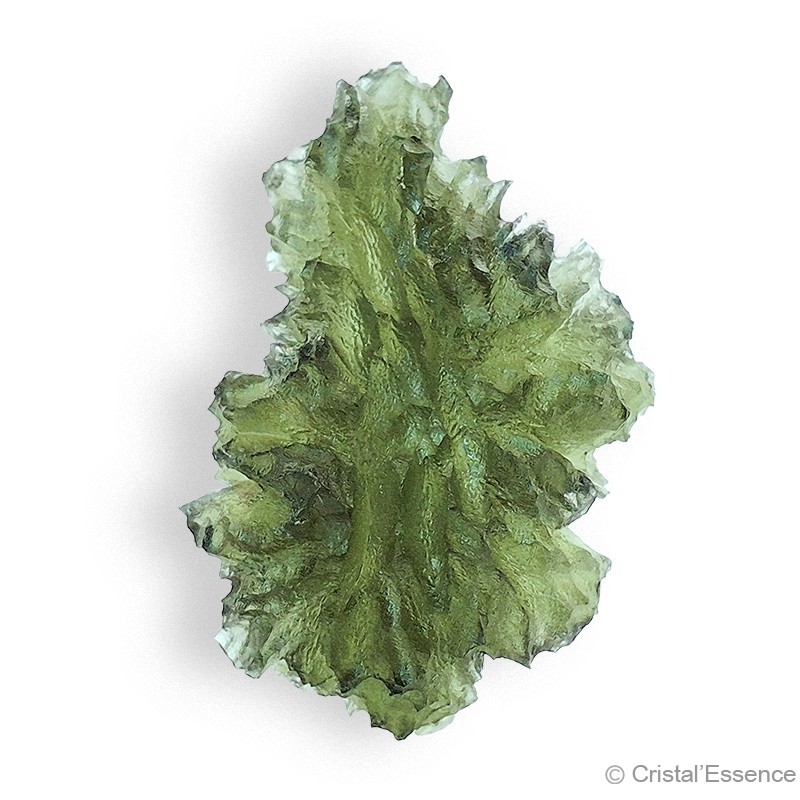 Les Moldavites de Besednice, comme celle-ci, sont très rares : les regarder dans leur transparence