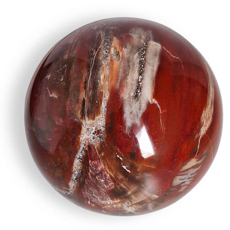 Bois fossile, sphère