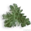 Moldavite de Besednice, très rare, pierre d'ouverture du cœur, d'ouverture à la vie. Les regarder dans leur transparence.
