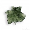 Moldavite de Nesmen Forest, de qualité exceptionnelle, pierre de coeur