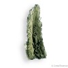 Moldavite de Nesmen Forest, de qualité exceptionnelle