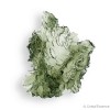 Moldavite de Nesmen Forest, de qualité exceptionnelle, pierre de coeur