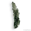 Moldavite de Nesmen Forest, de qualité exceptionnelle
